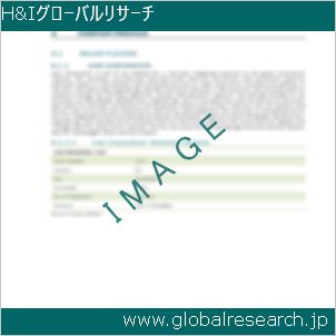 グローバルリサーチ調査レポートのイメージ